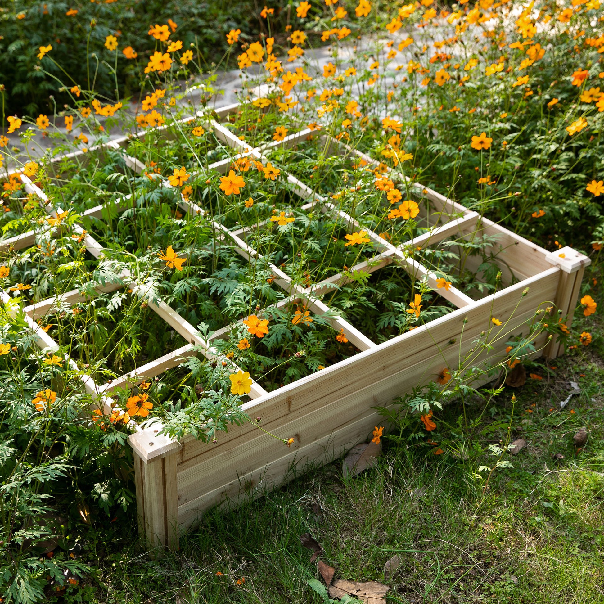 Outsunny Raised Garden Bed Kit, 4' X 4' Outdoor Wooden Planter Box With 9 Growing Grids, For Plants And Herbs Natural Wood