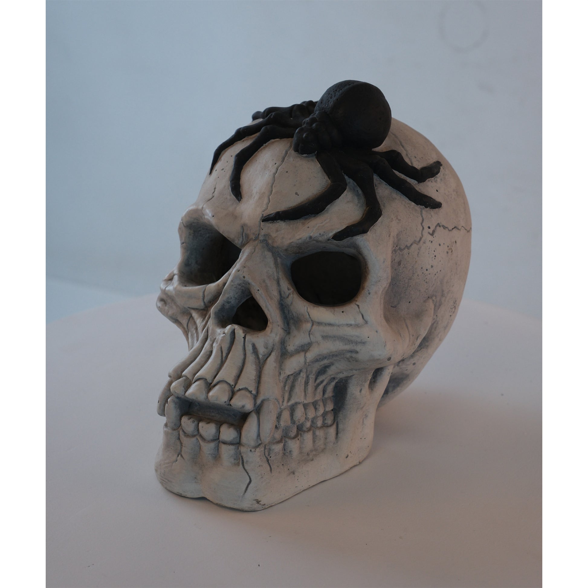 Demon Skull,Suitable For Outdoor Fireplace And Fire Pit, Halloween Decoration Black White American Traditional Magnesium Oxide