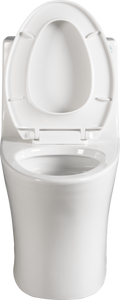 1.1 1.60 Gpf Dual Flush One Piece Toilet, Water Saving Elongated Comfort Height Floor Mounted, Soft Closing Seat, 1000 Gram Map Flushing Score Toilet, Glossy White 23T02 Gw White Ceramic