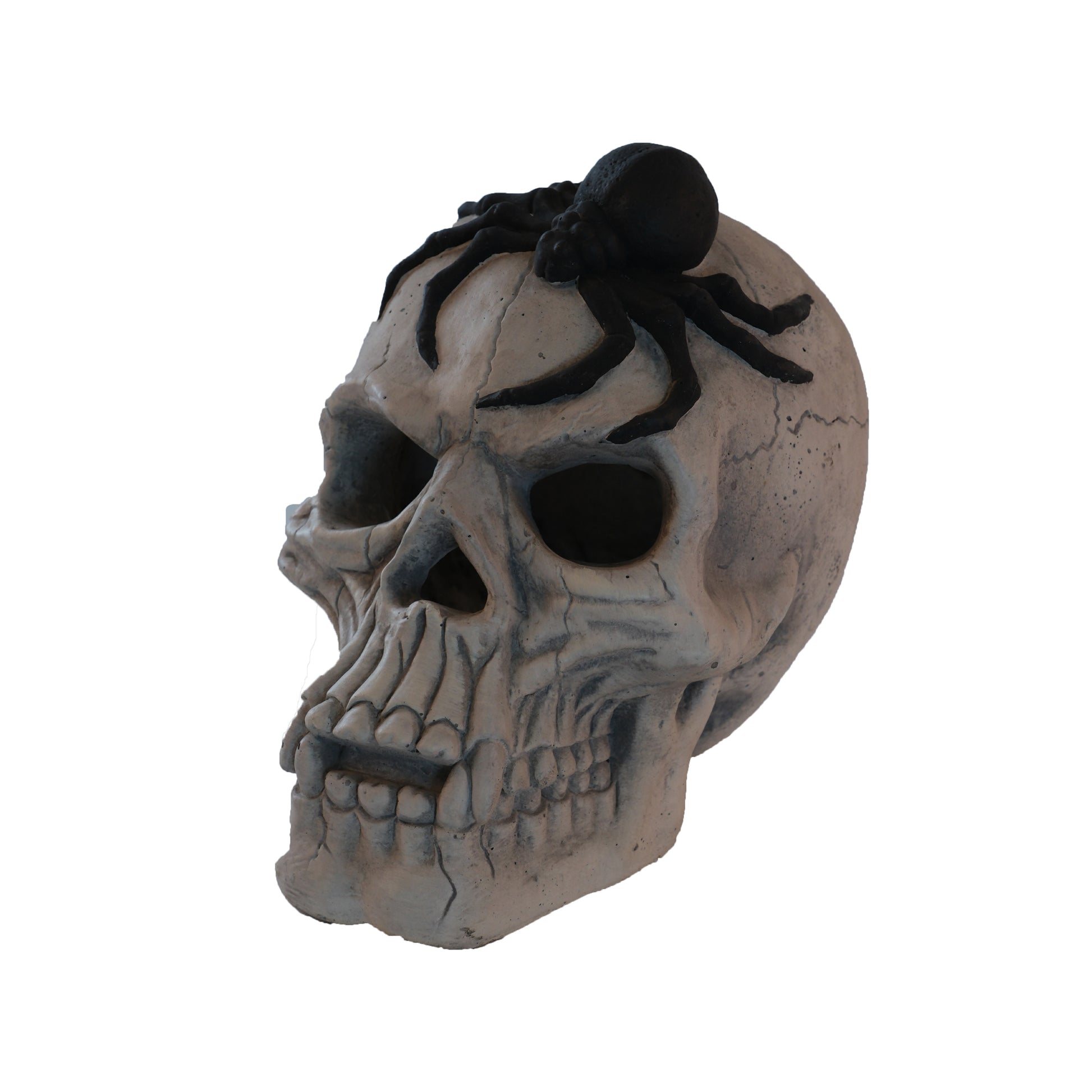 Demon Skull,Suitable For Outdoor Fireplace And Fire Pit, Halloween Decoration Black White American Traditional Magnesium Oxide