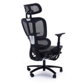 Adjustable Ergonomic Black Mesh Office Chair With Headrest And Footrest, Conference Computer Desk Chair Caster Nylon Black Office Foam Rectangular Contemporary Push Button Office Chairs Plywood Foot Rest Metal Mesh