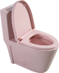 1.1 1.60 Gpf Dual Flush One Piece Toilet, Water Saving Elongated Comfort Height Floor Mounted, Soft Close 1000 Gram Map Flushing Score Toilet, Rose 23T01 Rs Rose Ceramic