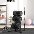 Soozier 2 Inch Weight Rack For Plates And 3 Bars, Olympic Weight Tree Bumper Plate Storage Holder, 660 Lbs. Capacity, Black Black Steel