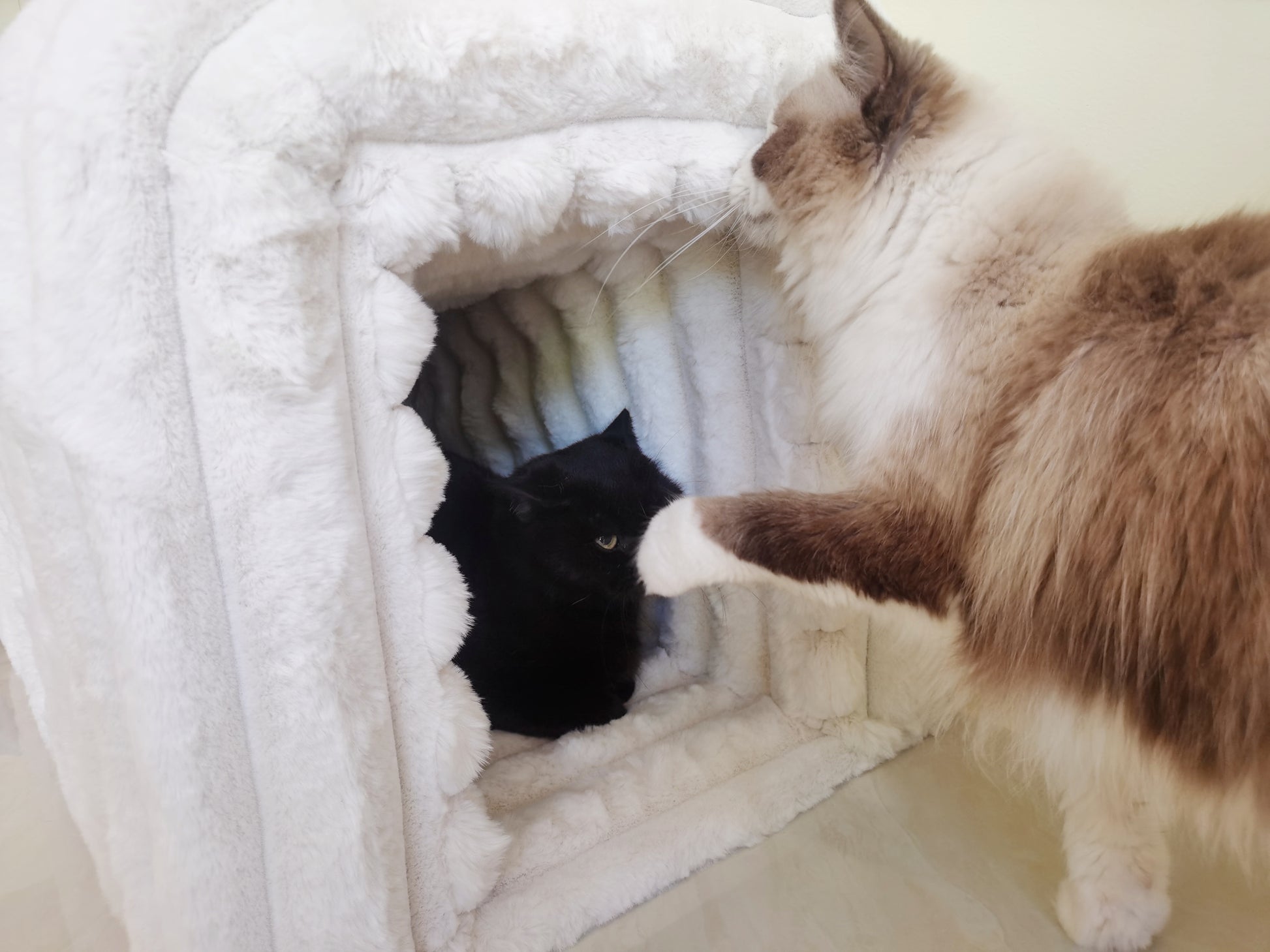 Ottoman Storage Bench Pet Supplies Corduroy Bench Cat'S Nest To Hide For The Living Room, Entryway And Bedroom Beige Corduroy