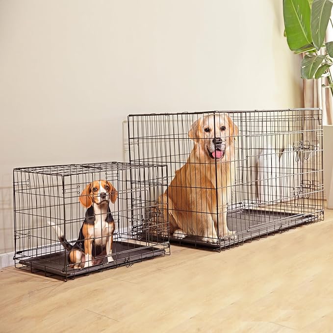36 Inch Folding Metal Wire Dog Crate, Durable, Foldable, Collapsible Double Door Dog Crate With Removable Leak Proof Pan, Portable Dogs Crate With Divider, Black Black Iron