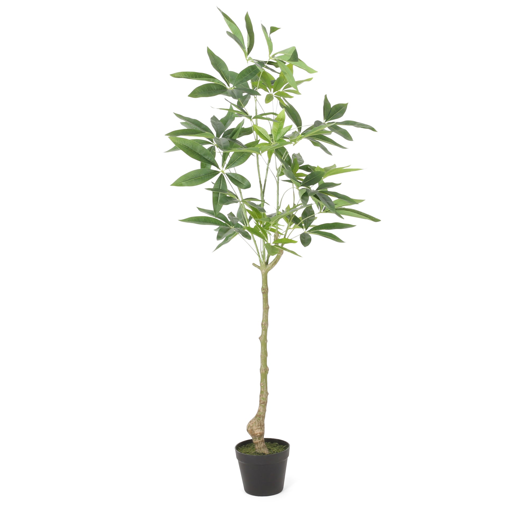 120Cm Artificial Pachira Macrocarpa Green Polyethylene