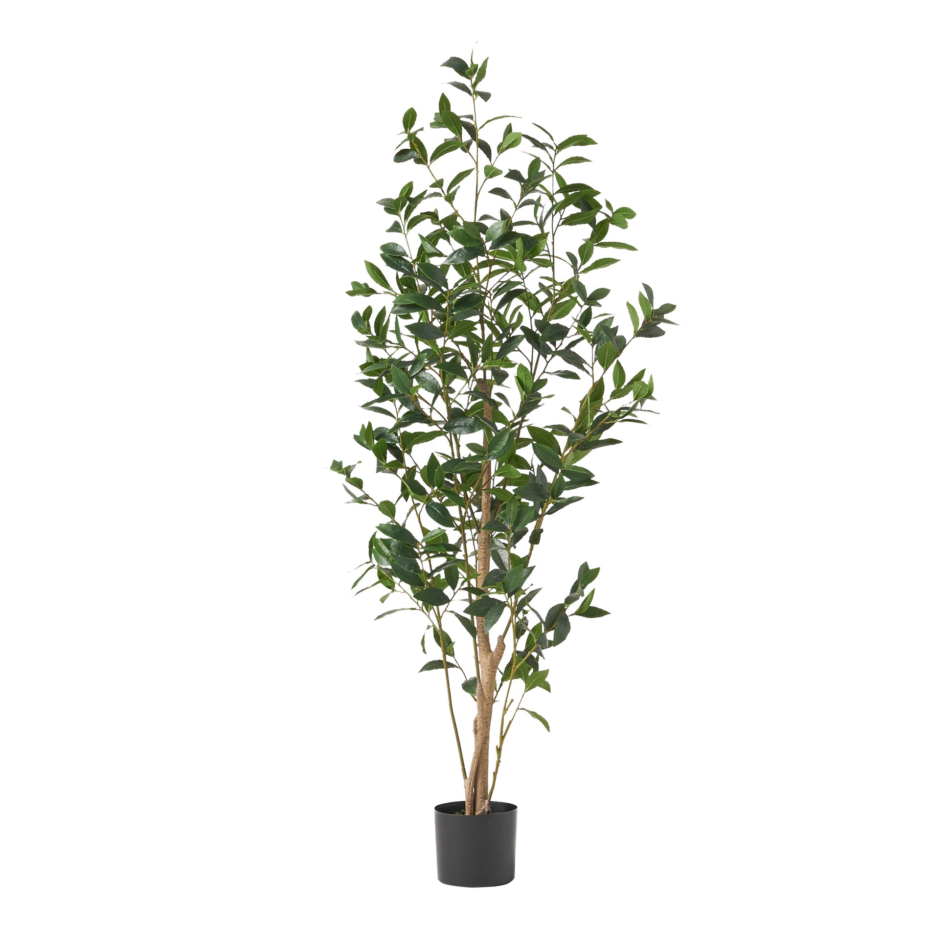 150Cm Artificial Laurel Tree Green Iron Plastic