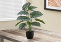 Artificial Plant, 24