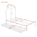 Twin Size Metal Platform Bed With Two Drawers,House Shaped Headboard Design, White Twin White Metal