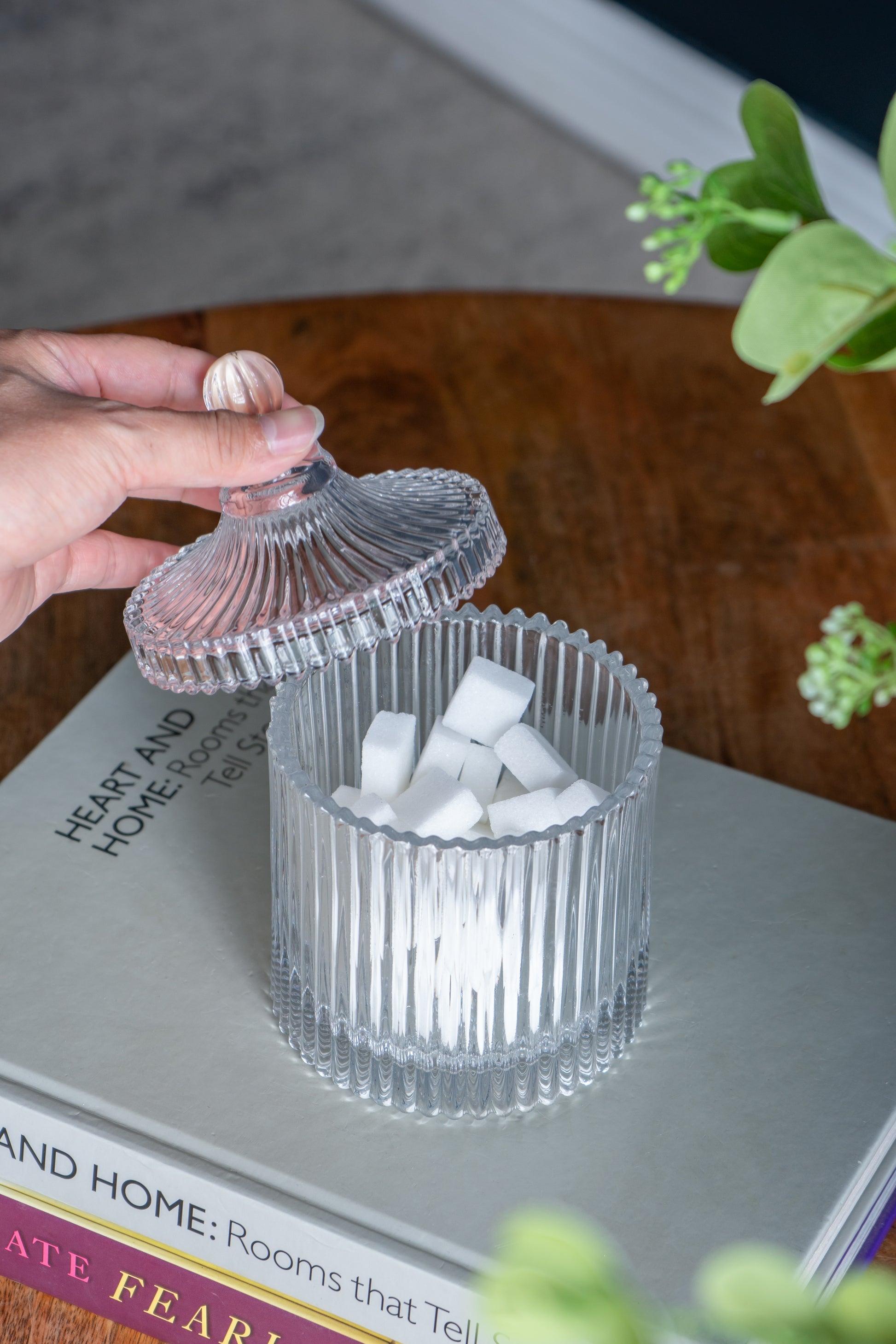 D4X6"Ancell Lidded Glass Jar Clear Glass