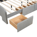 Full Size Velvet Platform Bed With Rabbit Shaped Headboard, With Drawers, With Bed End Storage Pocket, Gray Full Gray Plywood