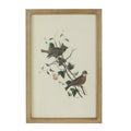 S 4 Bird Framed Print, 15.5X23.5