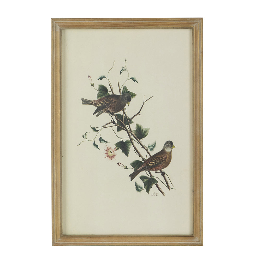 S 4 Bird Framed Print, 15.5X23.5" Multicolor Wood