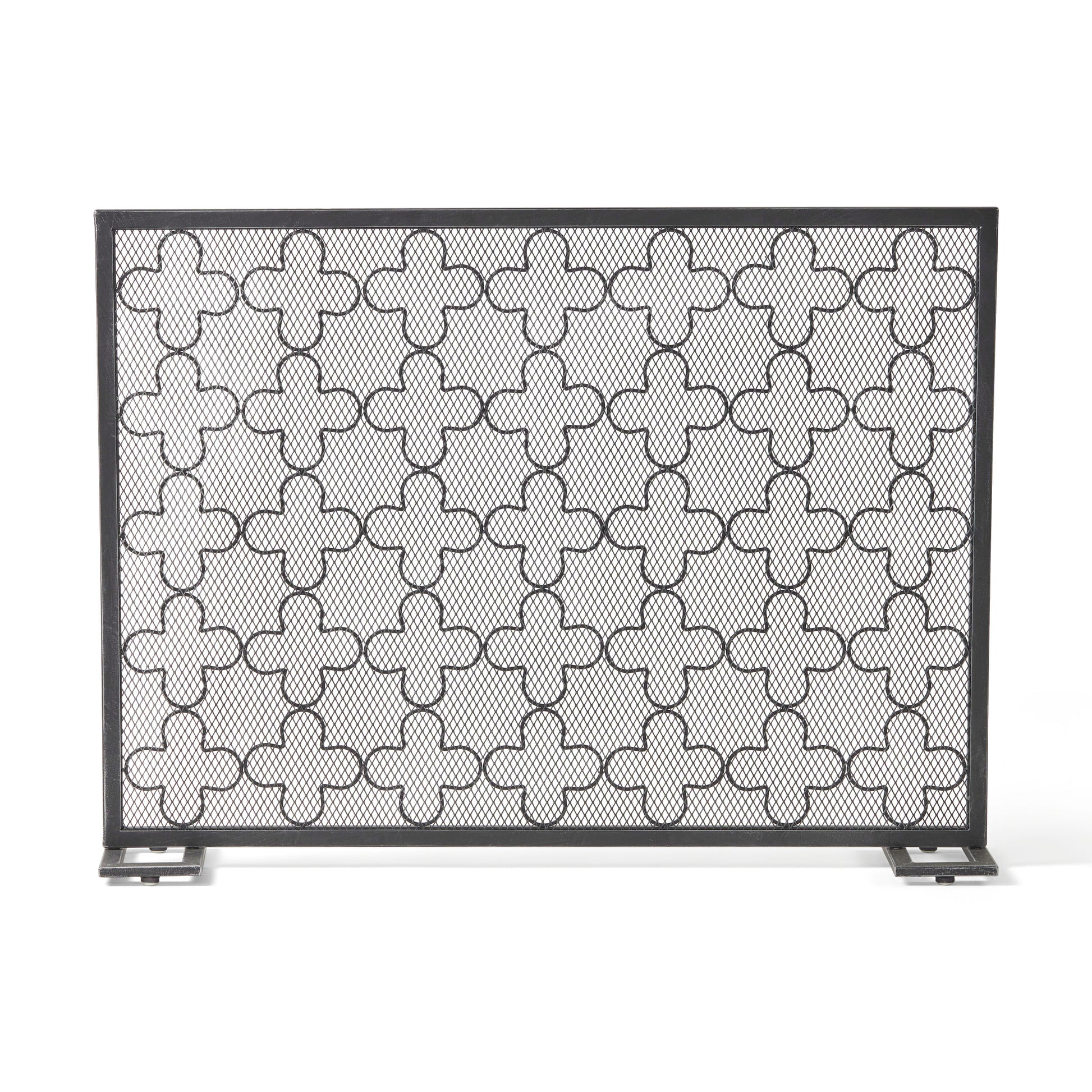 Fire Screen Black Silver Iron