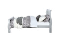 Platinum Twin Bed Box Spring Required Twin Gray Wood White Casual Sleigh Wood