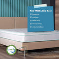 California King Size 10 Inch Cool Gel Memory Foam Innerspring Hybrid Mattress White Green Foam Spring California King