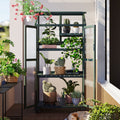 62Inch Height Wood Large Greenhouse Balcony Portable Cold Frame With Wheels And Adjustable Shelves For Outdoor Indoor Use, Forest Green Green Casual Wood Solid Wood