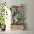 Raised Garden Bed With Trellis 2 Pack, Outdoor Wooden Planter Box & Plant Stand With Climbing Racks Brown Solid Wood