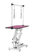 42.5Inch Hydraulic Pet Grooming Table With 