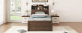 Twin Size Wooden Led Platform Bed With Trundle, With Storage Headboard, With Drawers, Brown Twin Brown Plywood