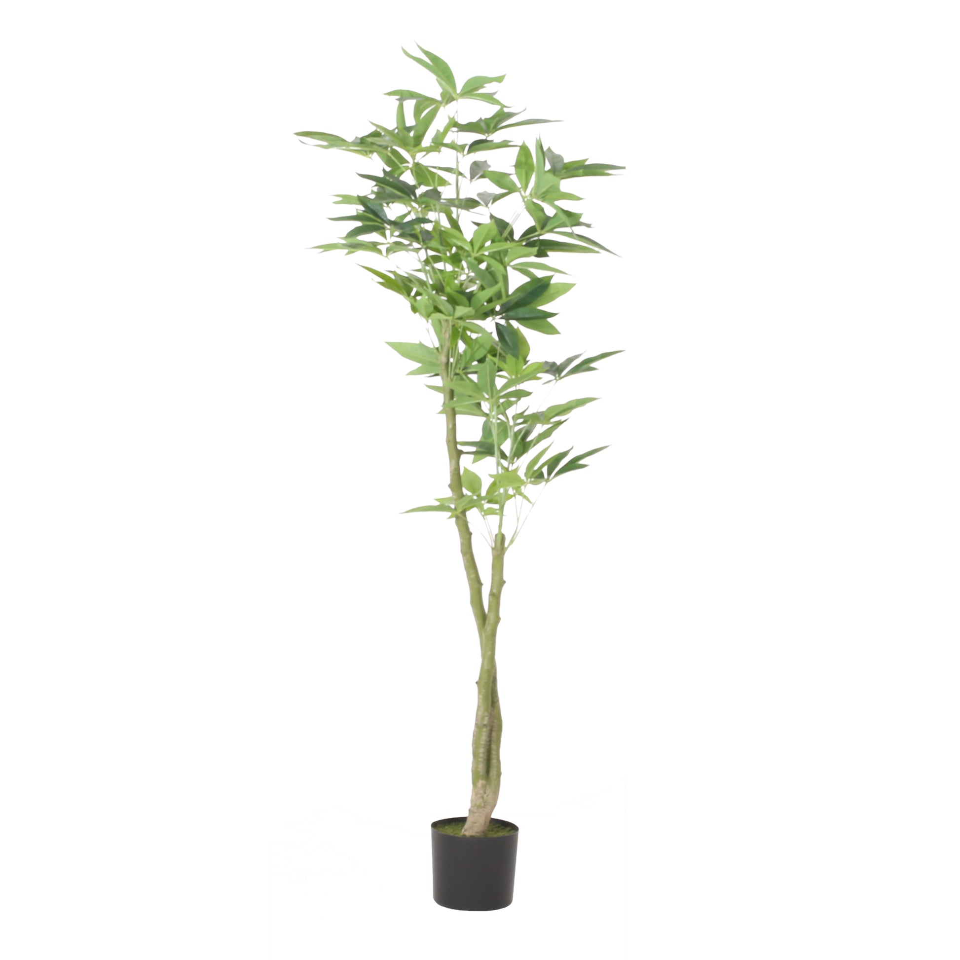 160Cm Artificial Pachira Macrocarpa Green Polyethylene