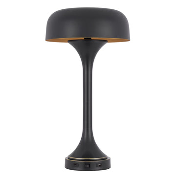 Emma 22 Inch Modern Desk Lamp, 2 Usb, 1Type C Charging Port, Dark Bronze Black Metal