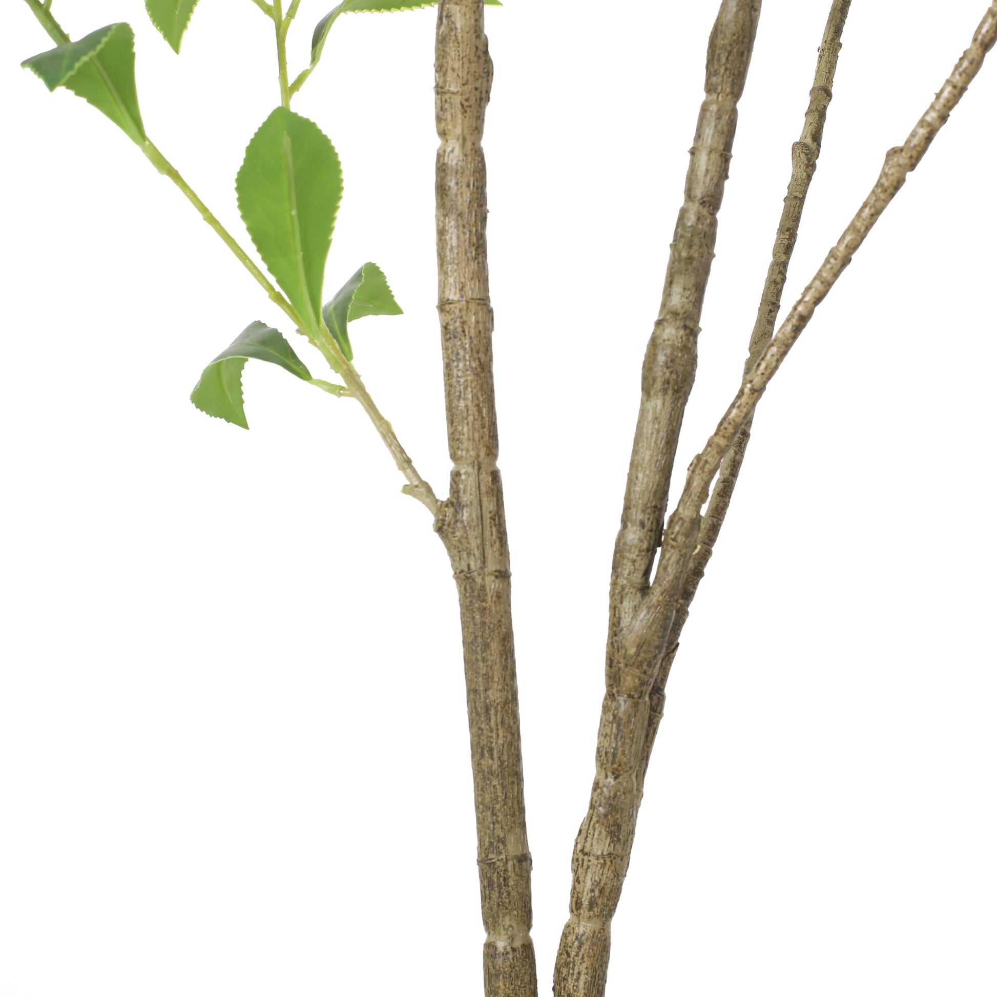 150Cmartificial Pieris Tree Green Rattan