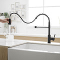 Kitchen Faucet With Pull Down Sprayer Black Stainless Steel Single Handle Pull Out Spring Sink Faucets Black Kitchen Classic,Contemporary,Modern Ceramic Stainless Steel