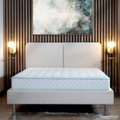 Twin Xl Size 9 Inch Excellence Medium Tight Top Hybrid Aloe Vera Foam Encased Pocket Coil Mattress White Green Foam Spring Twin Xl