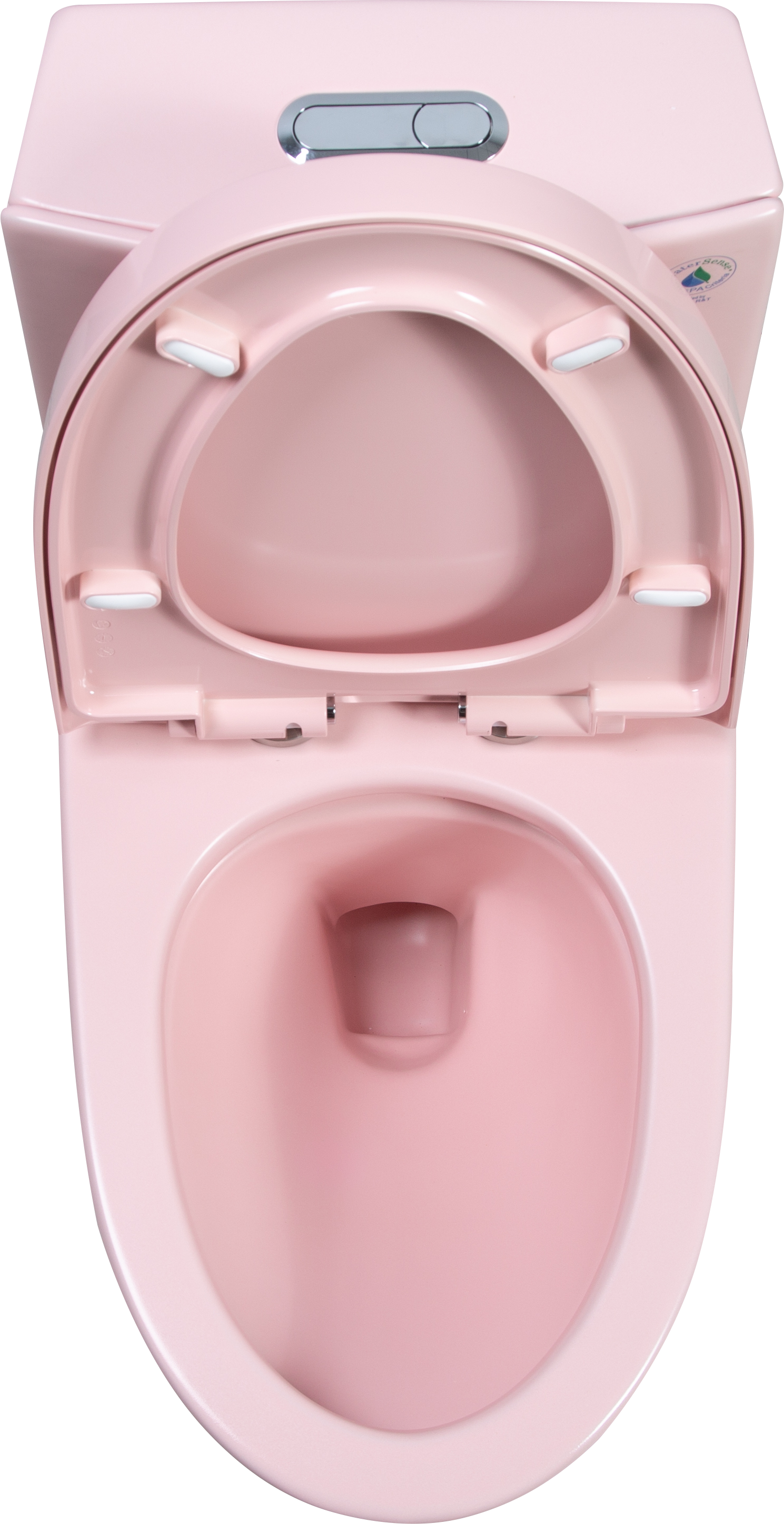 1.1 1.60 Gpf Dual Flush One Piece Toilet, Water Saving Elongated Comfort Height Floor Mounted, Soft Close 1000 Gram Map Flushing Score Toilet, Rose 23T01 Rs Rose Ceramic