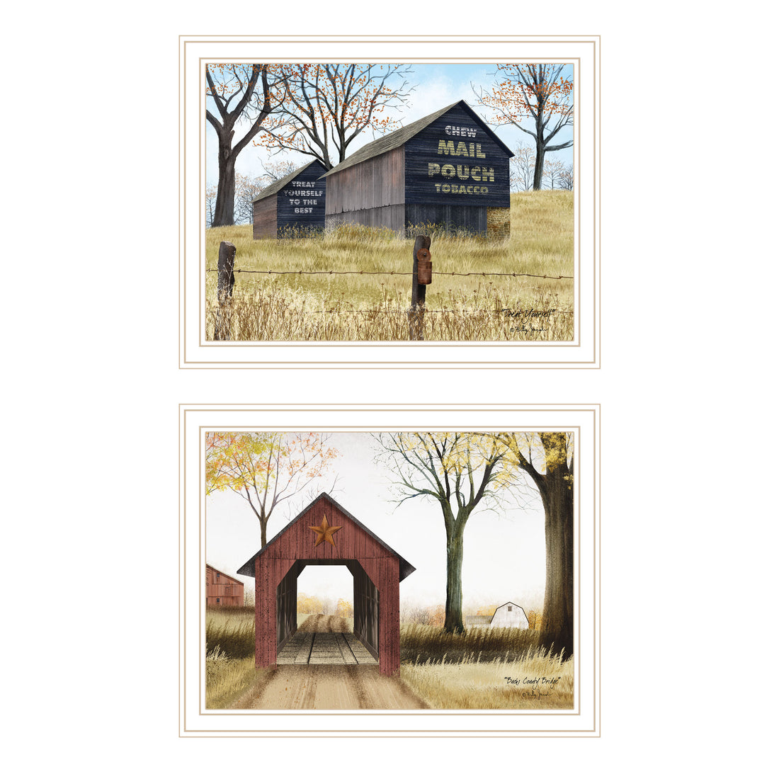 2 Piece Vignette Mail Pouch Barn & Buck County Bridge White Framed Wall Art For Living Room, Bedroom Wall Art Print For Home Decor By Billy Jacobs Multicolor Wood Paper