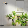 Grow Lights For Indoor Plants Full Spectrum, Plant Lights For Indoor Growing With 20W Cob Grow Light Blub, 4 8 12H Timer, Standing Tall Grow Lamp For Middle Large Plants 75'', Height Adjustable Black Metal