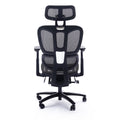 Adjustable Ergonomic Black Mesh Office Chair With Headrest And Footrest, Conference Computer Desk Chair Caster Nylon Black Office Foam Rectangular Contemporary Push Button Office Chairs Plywood Foot Rest Metal Mesh