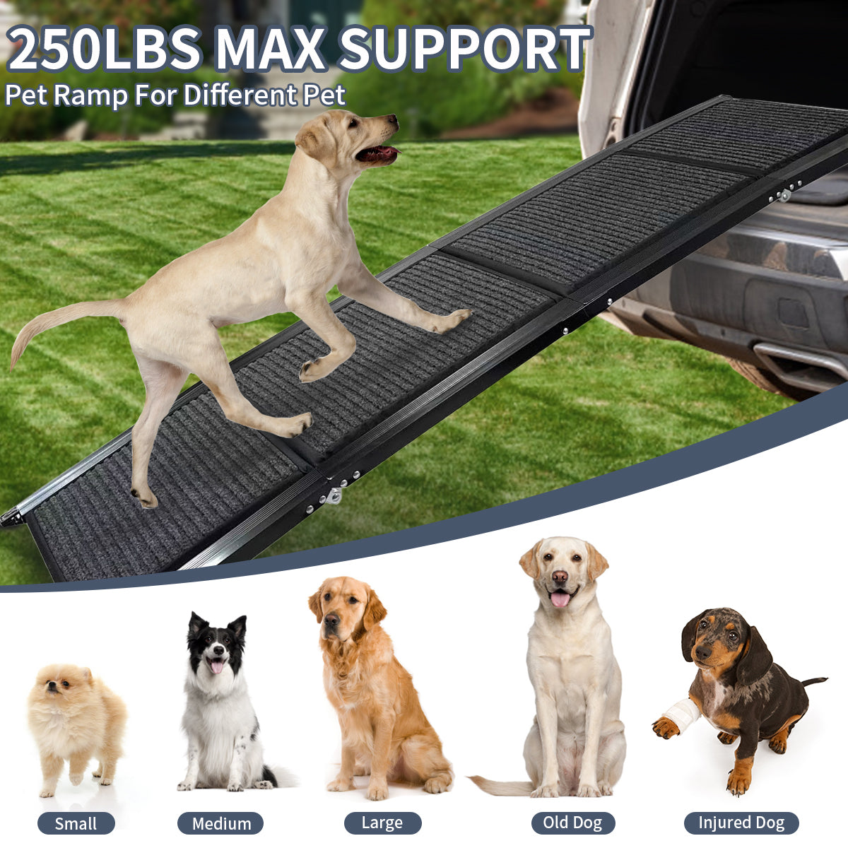 Dog Ramp For Car, 71" Long & 20" Wide Folding Portable Pet Stair Ramp With Non Slip Rug Surface, Extra Wide Dog Steps For Medium & Large Dogs Up To 250Lbs Enter A Car, Suv & Truck Grey Aluminium