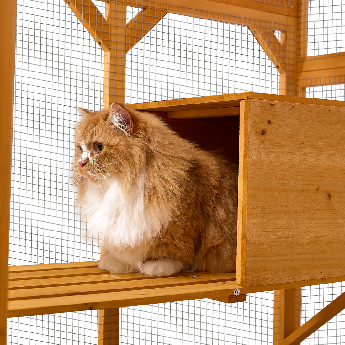 Catio Outdoor Cat Enclosure With Roof 72" Height Cat Wooden House Large Cat Cage With 3 Jumping Platforms And 2 Napping Houses For Cat Activity Yellow Yellow Wood