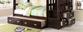 Allentown Espresso Finish Twin Twin Bunk Bed W Trundle & Storage Espresso Wood Synthetic Wood
