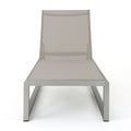 Modesta Chaise Lounge Set Of 2 Grey Mesh
