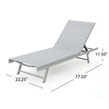 Salton Chaise Lounge Natural Nylon Mesh