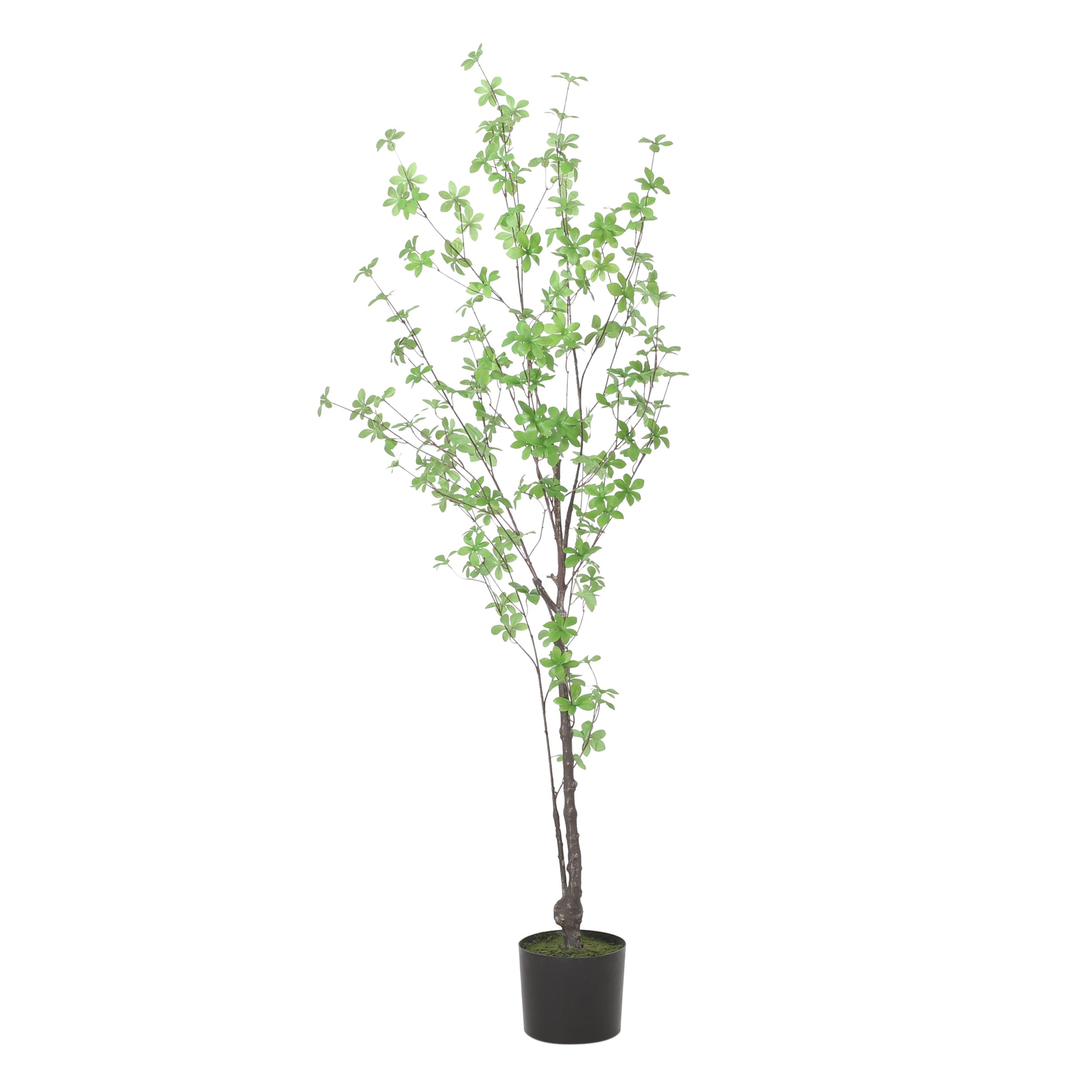 150Cm Artificial Disc Leaf Tree Green Polyethylene