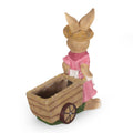 Mgo Rabbit Planter Pink Magnesium Oxide