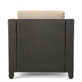 Puerta Club Chair Mp1 Brown Beige Rattan Waterproof Fabric Metal