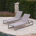 Modesta Chaise Lounge Set Of 2 Grey Mesh