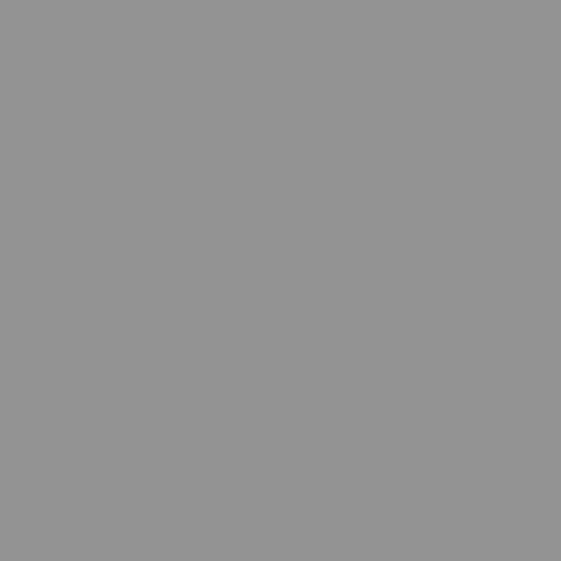 Jandra Decorative Fireplace Screen Silver Iron