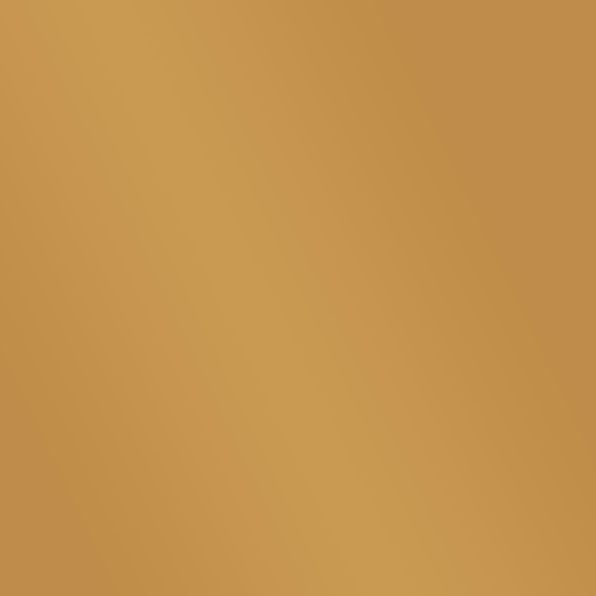 Melston Decorative Mirror W Storage Gold Iron