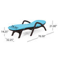 Mikael Chaise Lounge With Cushion Dark Brown Polypropylene