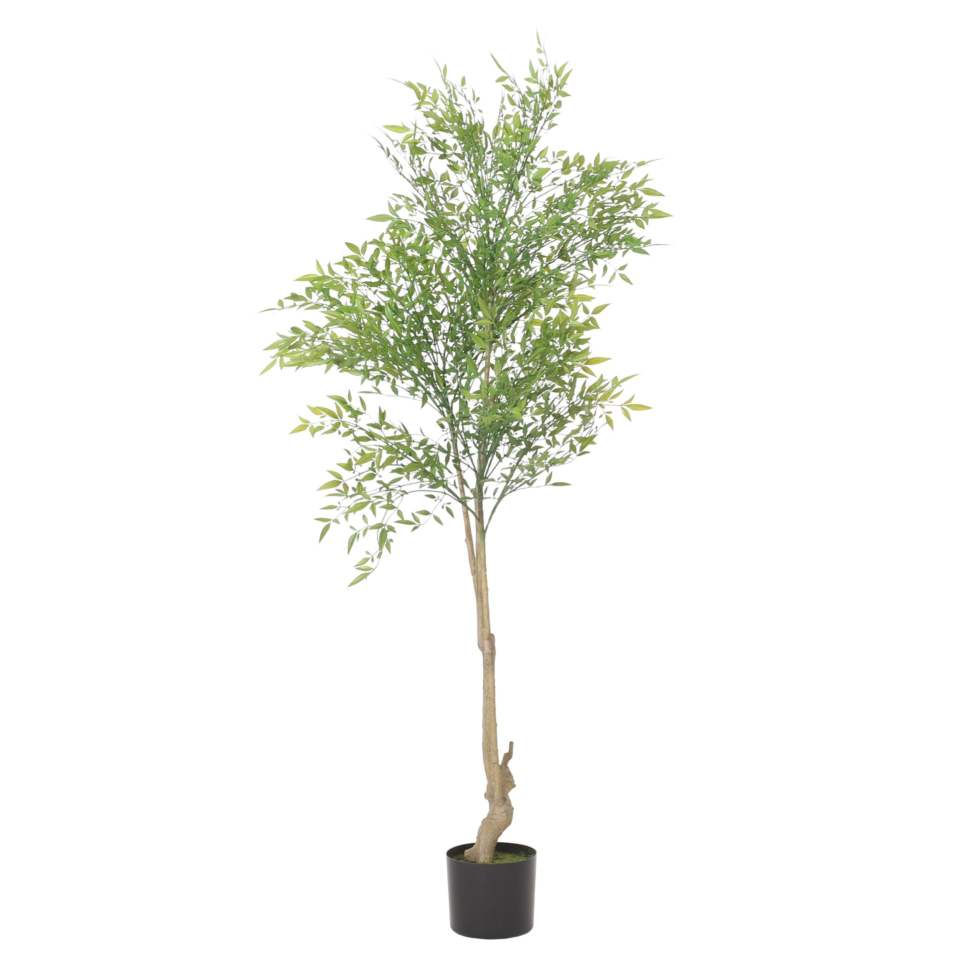 150Cm Artificial Nandina Green Polyethylene