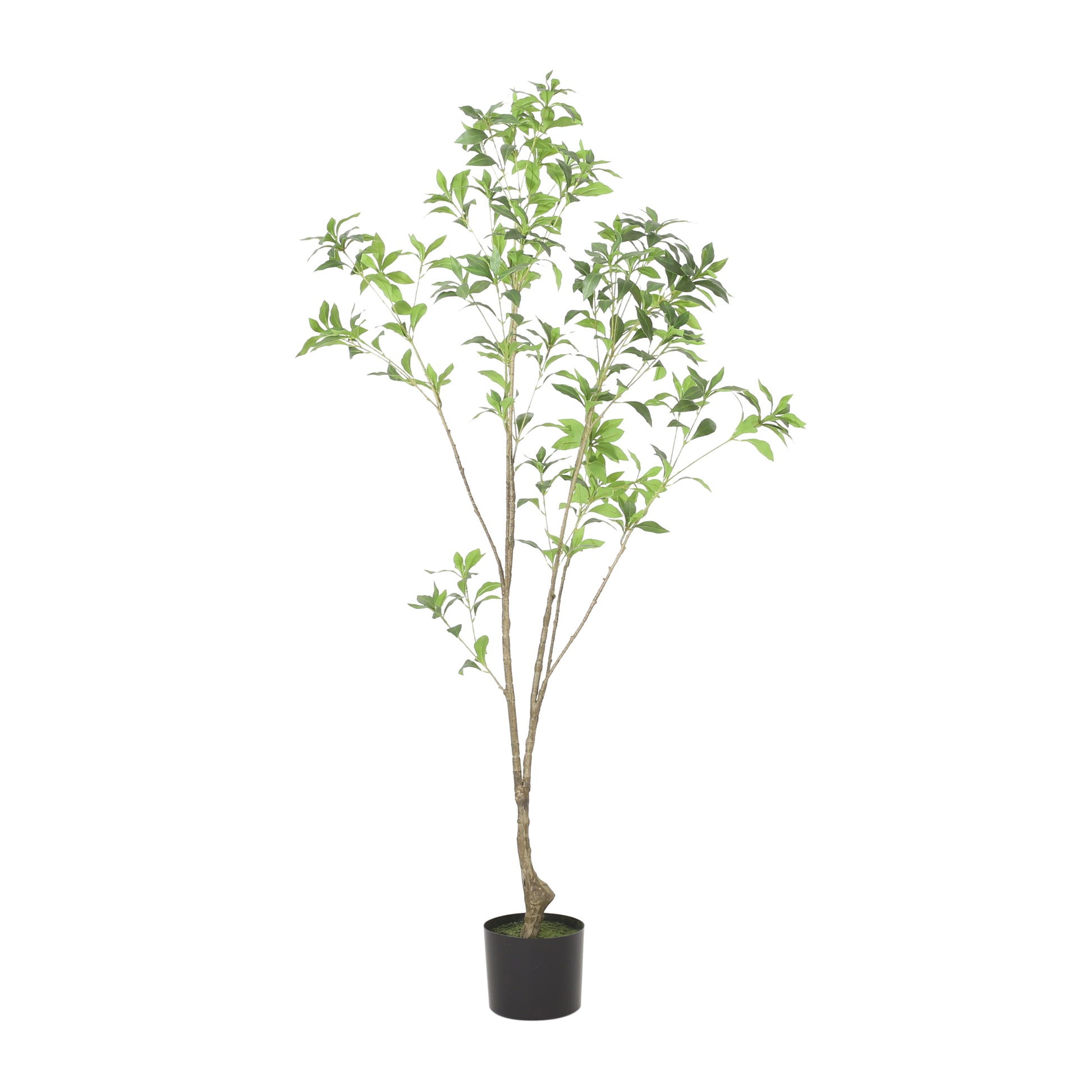 150Cmartificial Pieris Tree Green Rattan