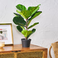 65Cm Artificial Fiddle Leaf Fig Tree Green Iron Plastic