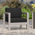 Aviara Mp1 Club Chair Silver Aluminium