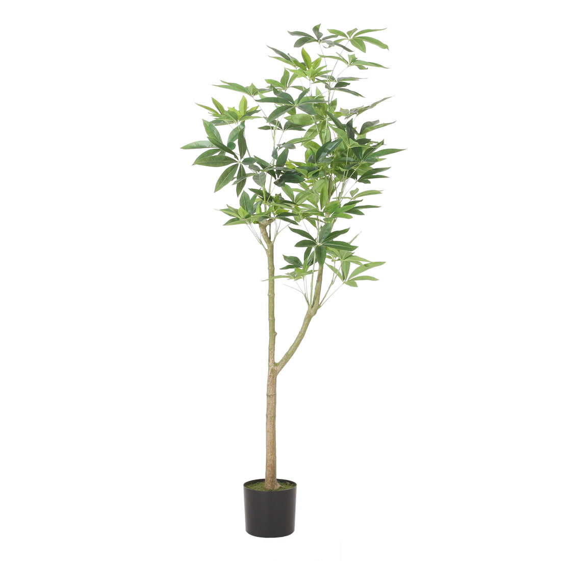 180Cm Artificial Pachira Macrocarpa Green Polyethylene